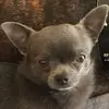 leonwoodward08 - @leonwoodward08 - TikTok
