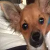 leon_wright - @leon_wright - TikTok