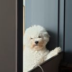 이레옹 - @leon__yee - Instagram