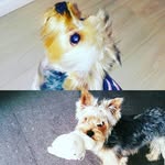 leon - @leon_yorkshire - Instagram