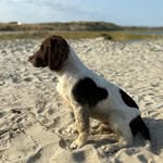 @leonyork_ - Instagram