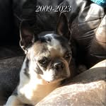 Leona Collins Bartels - @onee2362 - Instagram