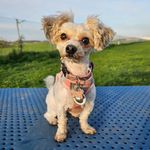 Leona Bean - @la_loca_leona - Instagram