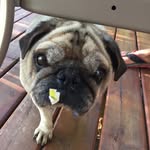Leonard Bean - @leonard.bean_ - Instagram