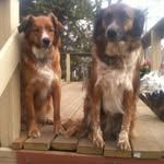 Jim Jean Browning - @browningleonajean - Instagram