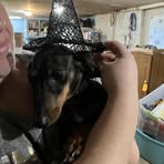 Lane Chaney - Facebook