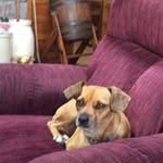 Leona Dodge - @leonadodge - Instagram