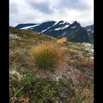 leonadrewery - @leonadrewery - Instagram
