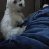 leonaedwards6 - @leonaedwards6 - TikTok
