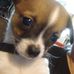 Leona Freeman - Facebook