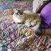 Leona Goodman - Facebook