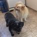 Leona Guy - Facebook