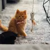 FamiliaBare - @leonakatze - TikTok