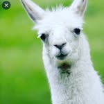 Leon_Uchiha - @leon_akatzuki - Instagram