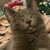 Leona Grunert-Koch - Facebook