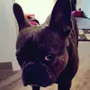 Leona Koch - @thomkoch - TikTok