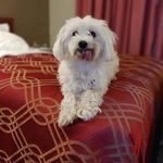 Leona Larson - @leonagmac - Instagram