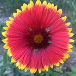 Leona Larson - @leona.larson - Instagram