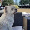 Leona Maher - @leona.maherr - TikTok