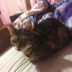 Leona Janette Mitchell - @leona._.mitchell_ - Instagram