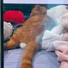 Leona Hammock9056 - @leonahammock0 - TikTok