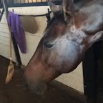 Leona_mossberg63 - @leona_mossberg63 - Instagram
