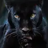 leonamoss983 - @leonamoss983 - TikTok