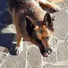 Leonardo Nullotti - @leonardo.nullotti - TikTok