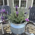 Leona Crandall Olson - Facebook