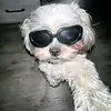 leonrutledge - @leonrutledge - TikTok