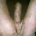 Anne Leona - Facebook