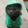 LeonaSinclair - @leonasinclair010101 - TikTok