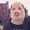Leo - @leonard.tanner - TikTok