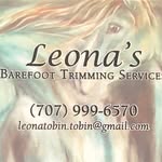 Leona Tobin - @leonas_hoof_care - Instagram