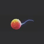 Leon Aware - @leon_aware - Instagram