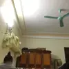 Leo - @leonawebb4 - TikTok