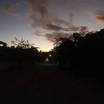 Wells Leona - @wellsleona15 - Instagram