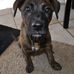 Leona Wiley - Facebook