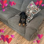 Leona Wise - @wiseleona7 - Instagram