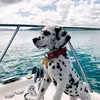AtlasLeonardo - @atlasleonardo - TikTok