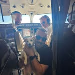 Leonard Badea - @leonard.badea - Instagram
