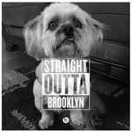 mr.leonard.barker - @mr.leonard.barker - Instagram