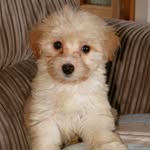 Baxter Leonard Derrett - @baxterleonard16 - Instagram