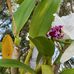 Leonard Jay Berkowitz - Facebook