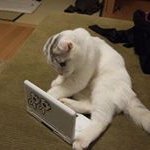 Leonardo Bermanto - @leonardobermanto - Instagram