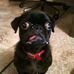 Leonard Bertram - Facebook