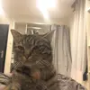 Leonard Bertrand - @leo.bdf - TikTok