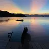 leonardbirch - @leonardbirch - TikTok