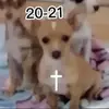 leonardobogantes4 - @leonardobogantes4 - TikTok