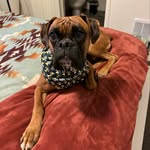 Lenny B🎾 - @leonard.bones - Instagram